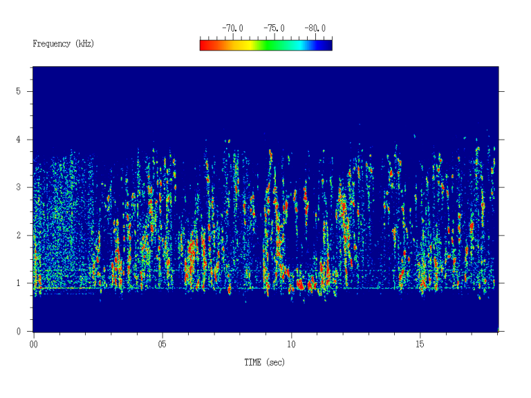 Spectrogram of Earth auroral kilometric radiation