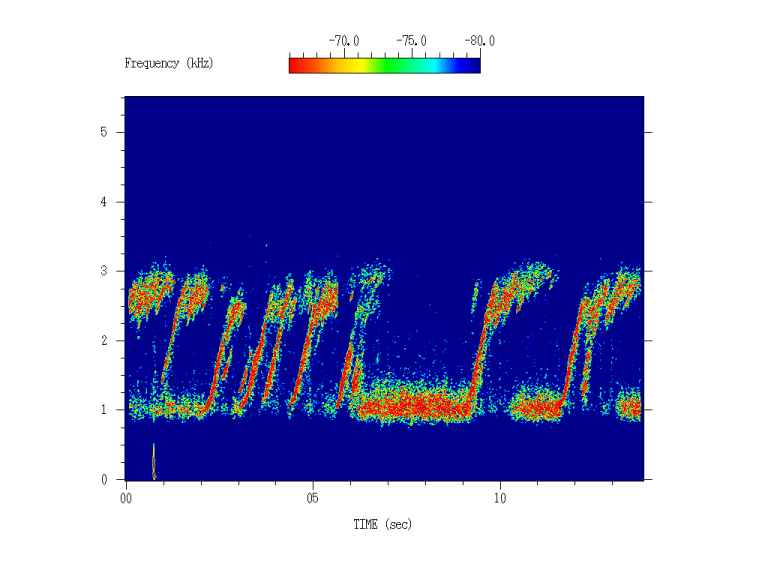 Spectrogram of Earth chorus
